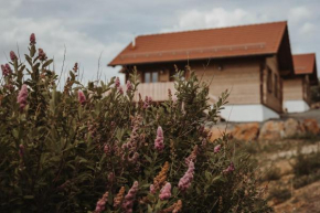 Oberwald Chalets 1